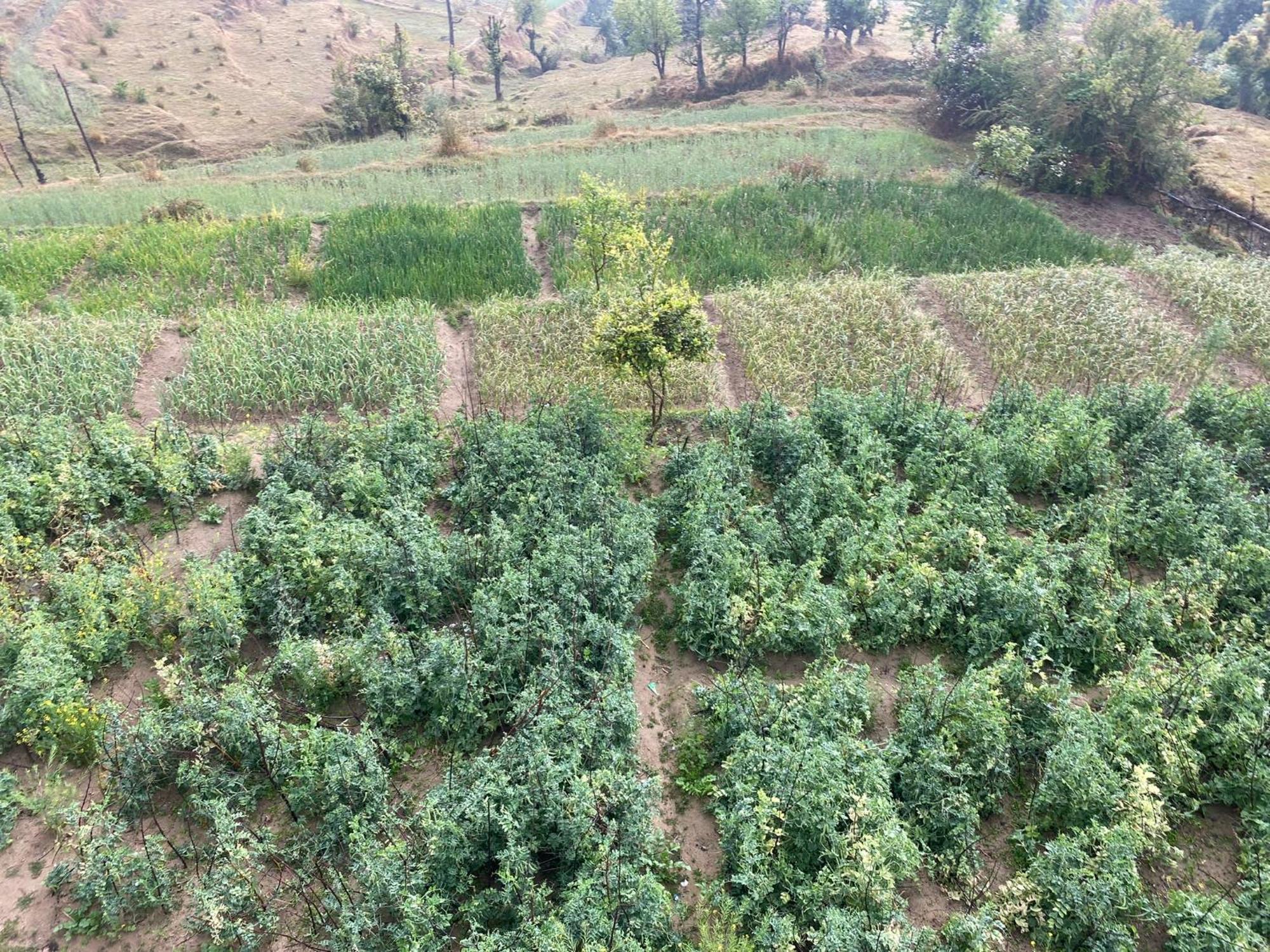Brook Cottage Champawat Buitenkant foto